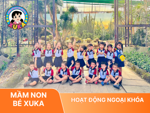 Hoạt động ngoại khóa bổ ích